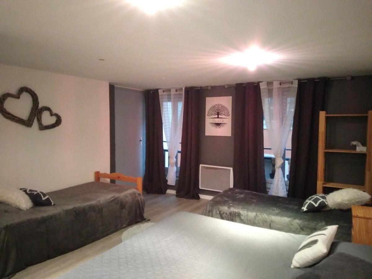 Espace Grenouillit Le Puy En Velay מראה חיצוני תמונה