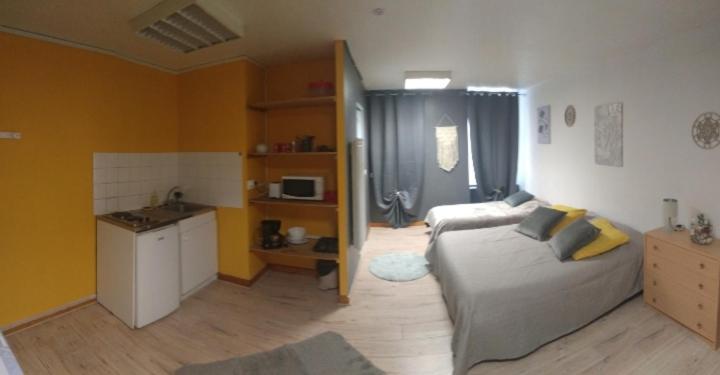 Espace Grenouillit Le Puy En Velay מראה חיצוני תמונה