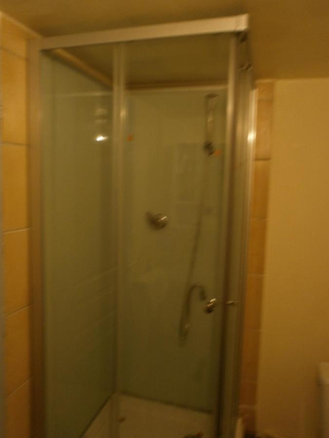Espace Grenouillit Le Puy En Velay מראה חיצוני תמונה