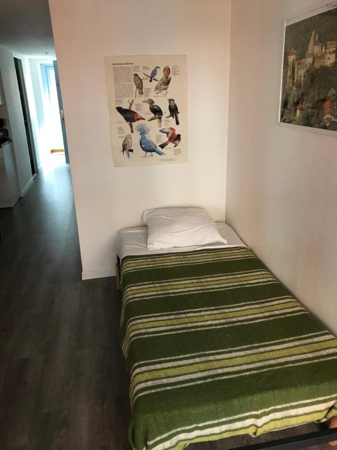 Espace Grenouillit Le Puy En Velay מראה חיצוני תמונה